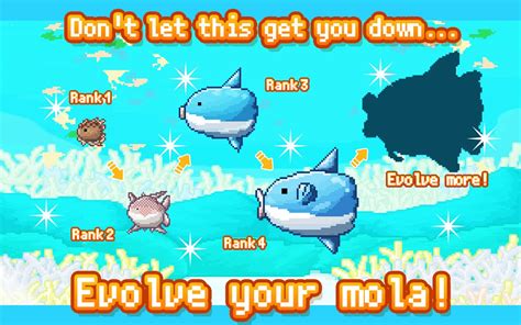 survive mola mola all deaths|Survive! Mola Mola Review: the many deaths of the sunfish.